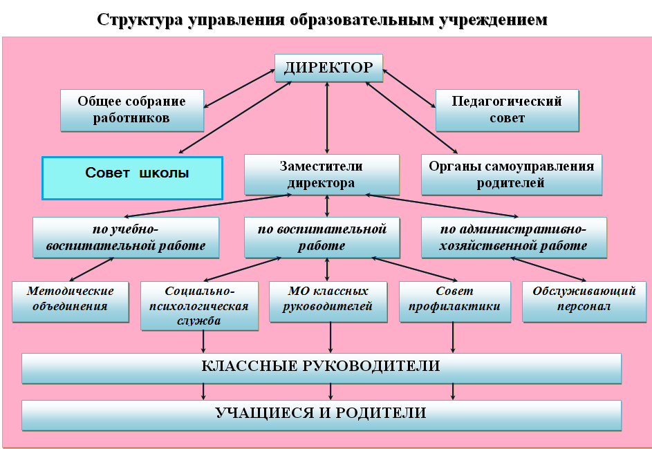 Что делают в совете школы. Структура школы. Функции совета школы. Педагогический совет в школе. Общее собрание в школе.